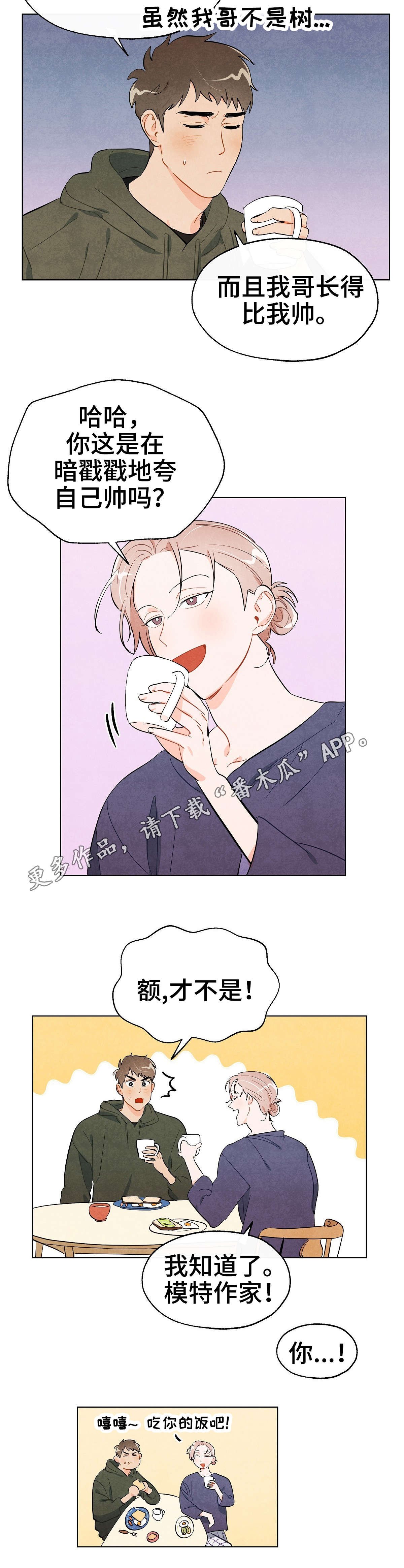 第31章：阴影