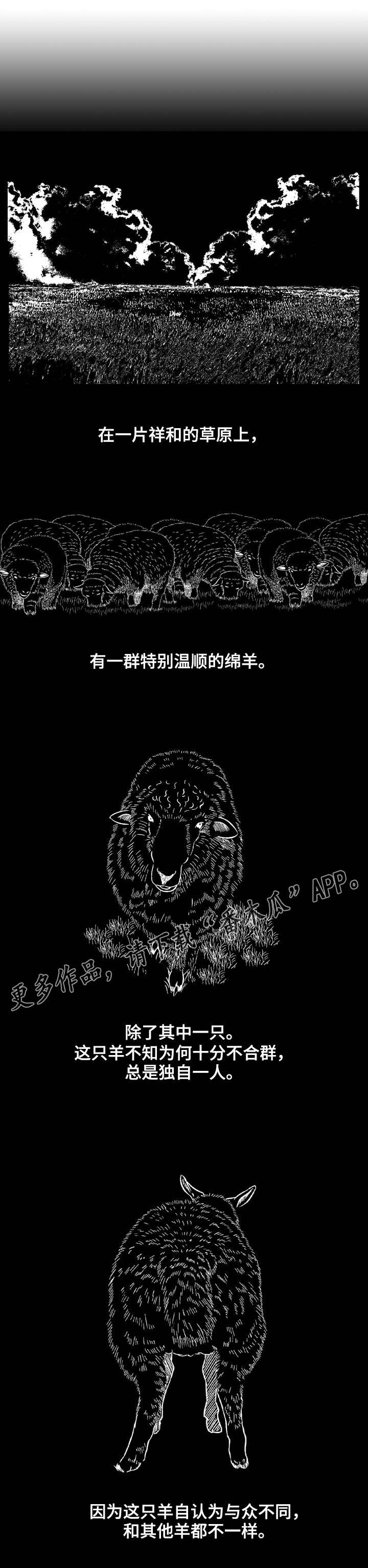 第11章：羊群与狼