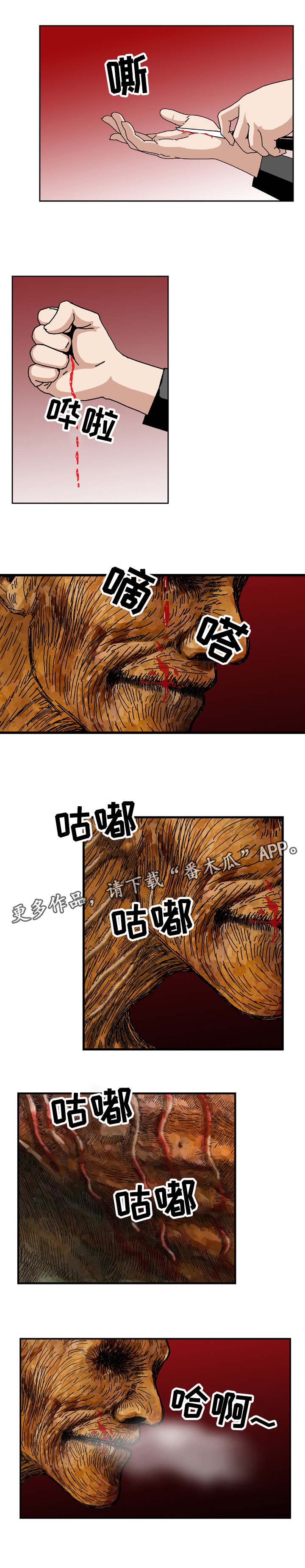 第12章：制药公司