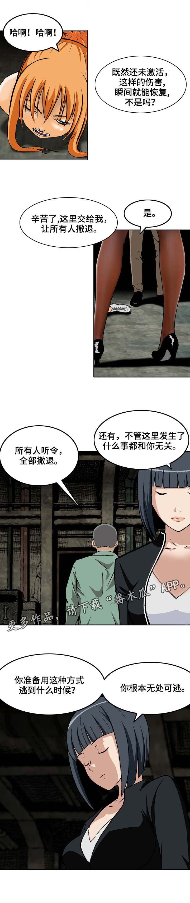 第14章：诱饵