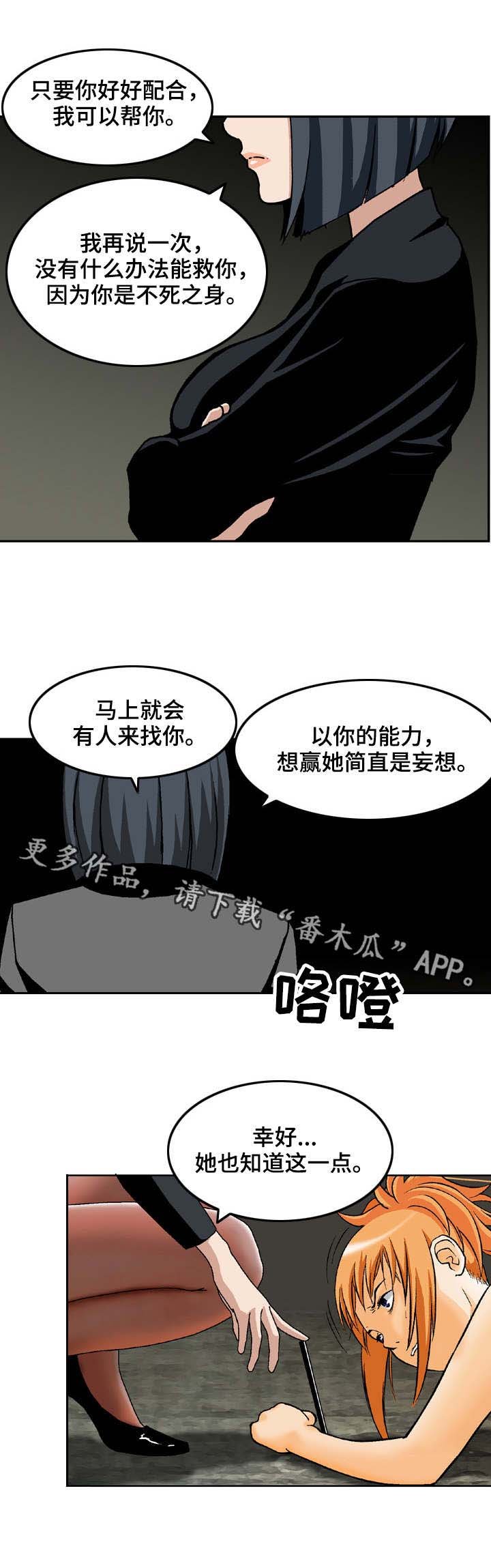 第14章：诱饵