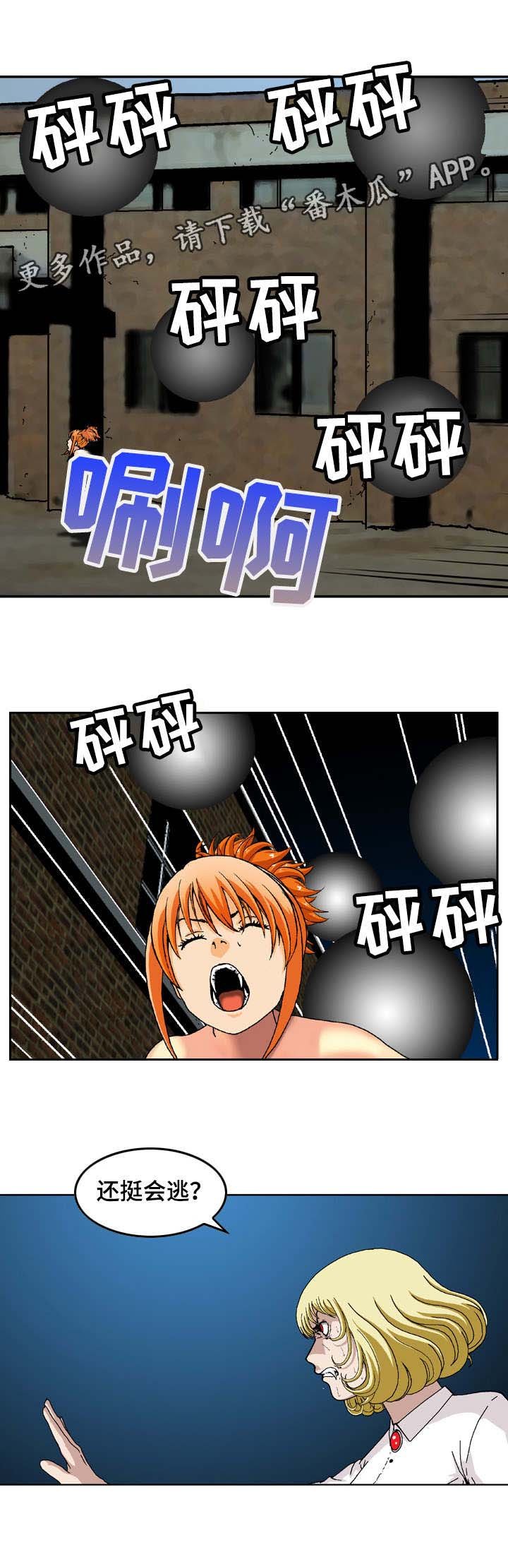 第17章：追击