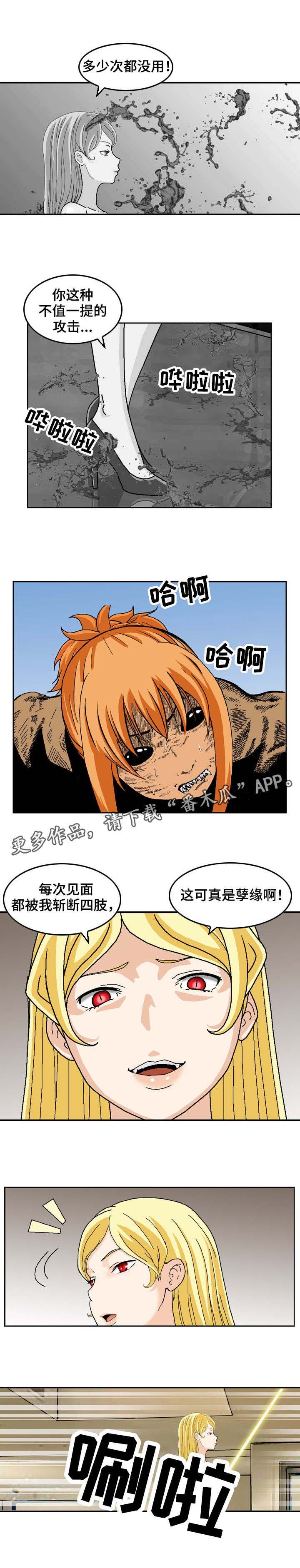 第24章：入侵者
