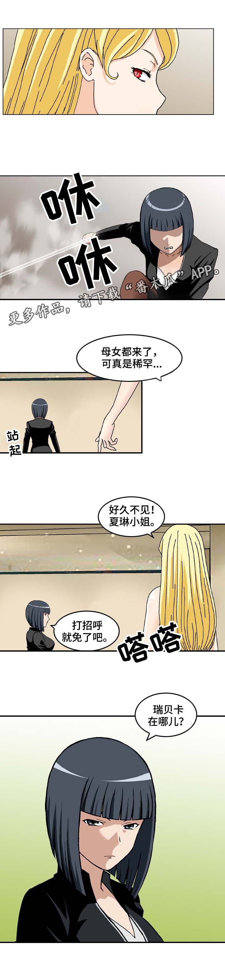 第24章：入侵者