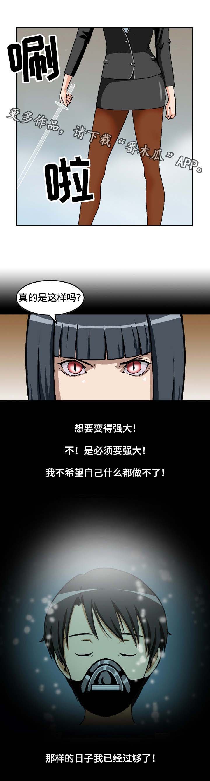 第24章：入侵者