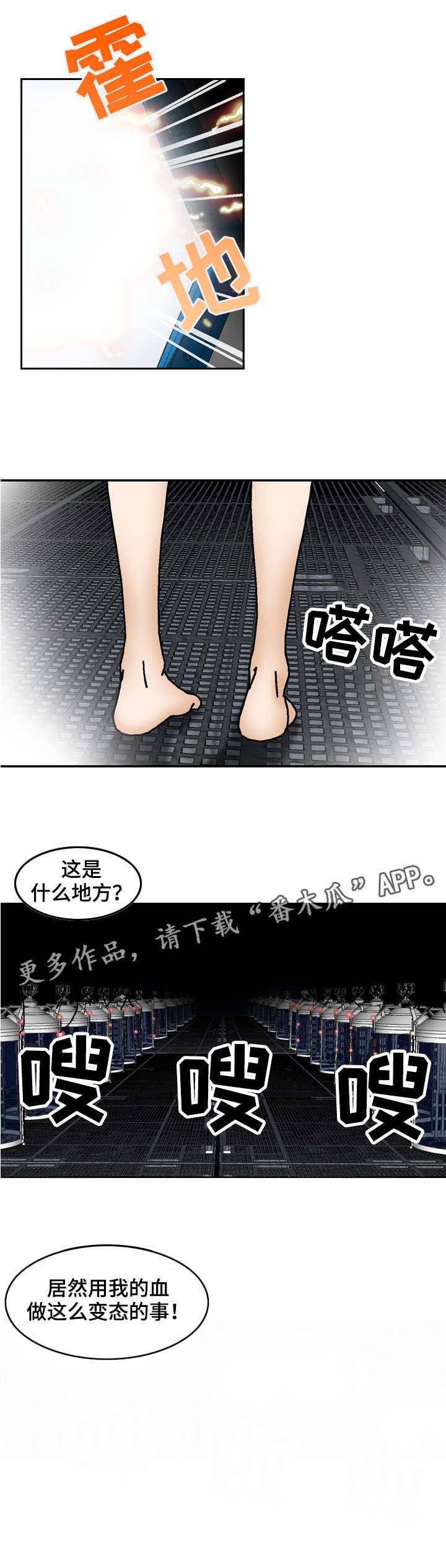 第25章：瑞贝卡