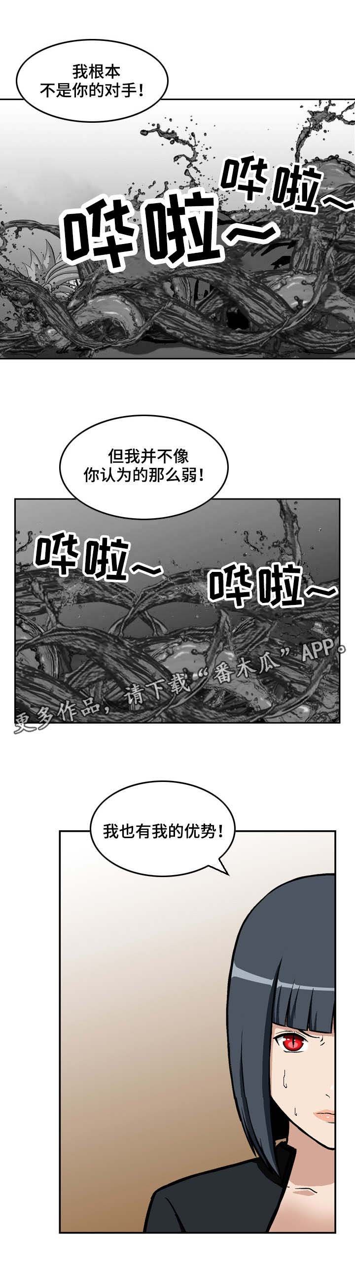 第26章：优势