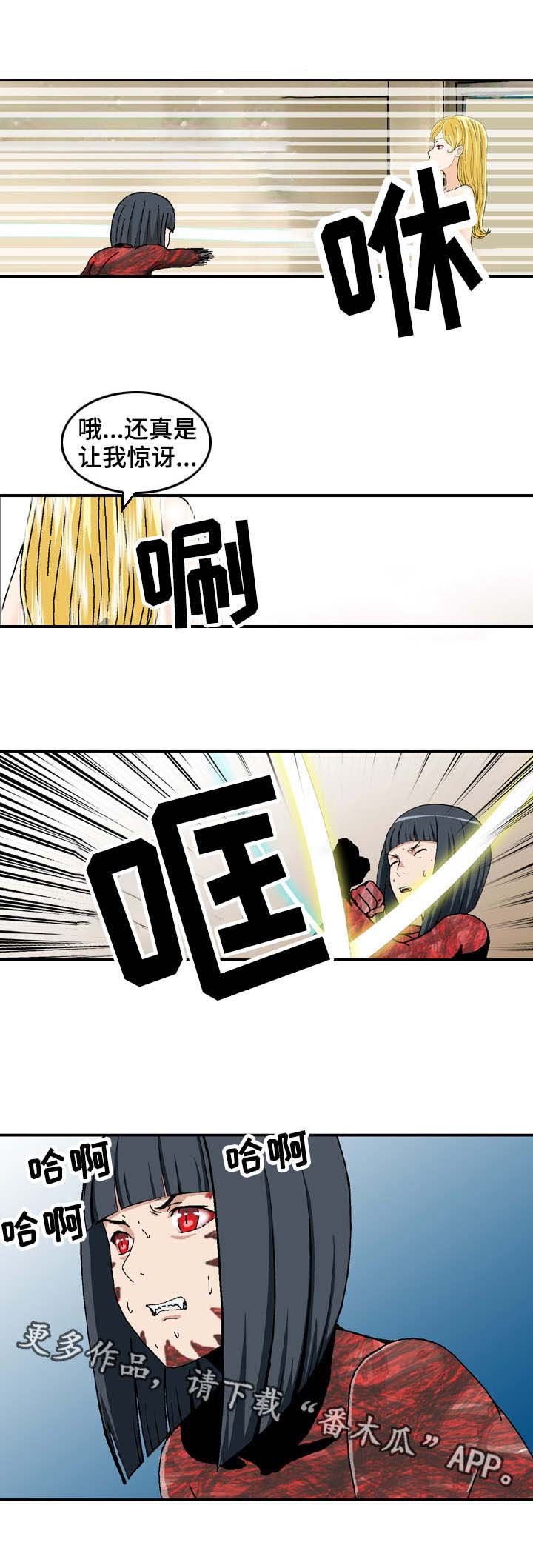 第27章：弱点