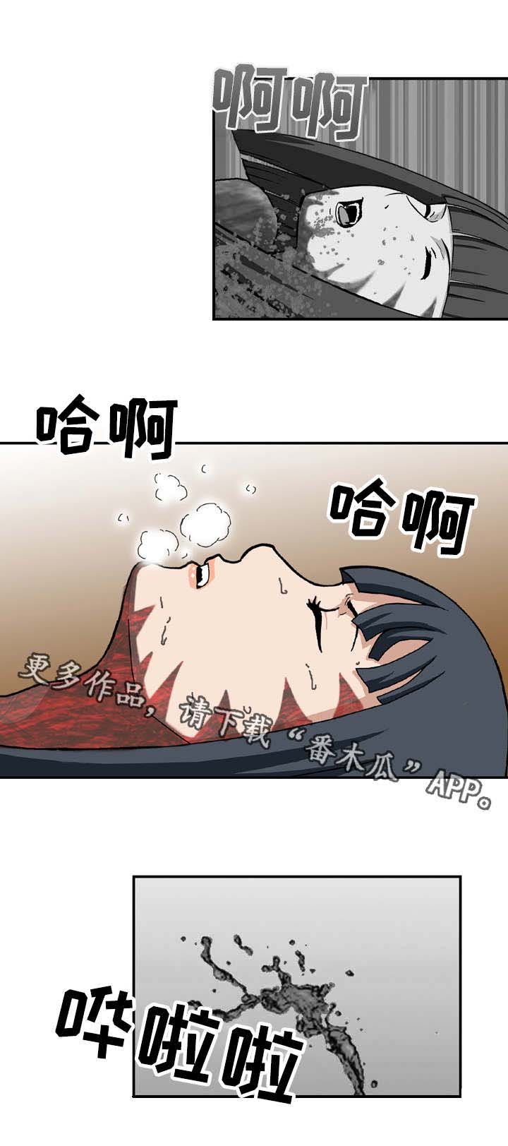 第27章：弱点