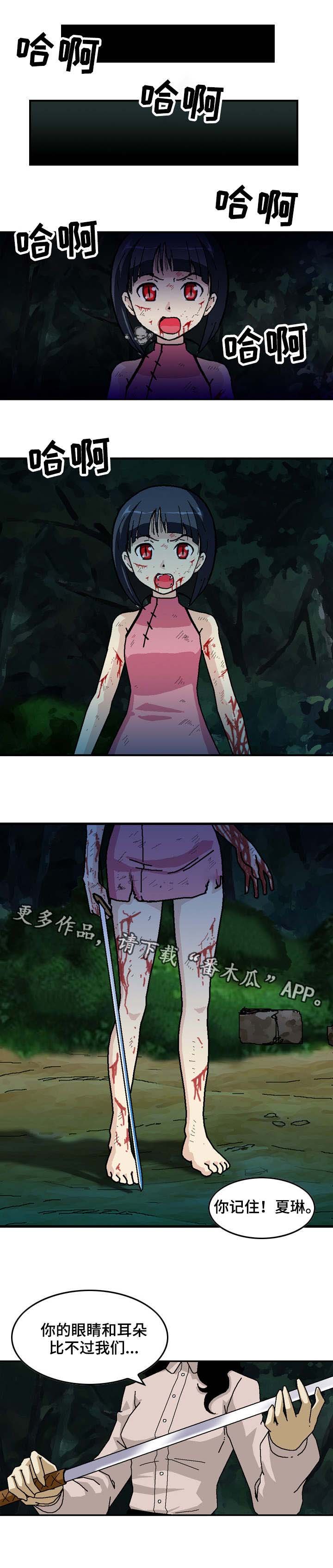 第27章：弱点