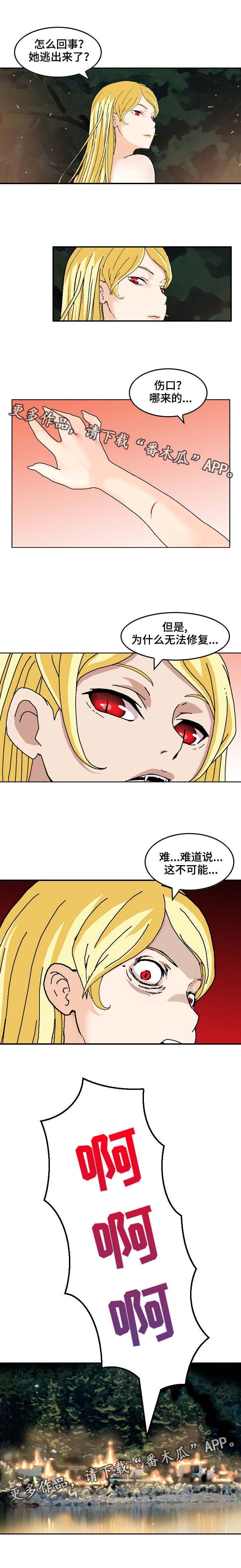 第28章：杀手皇后