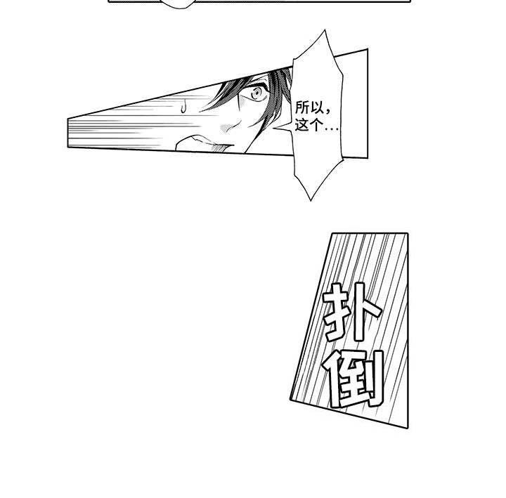 第15章：打样