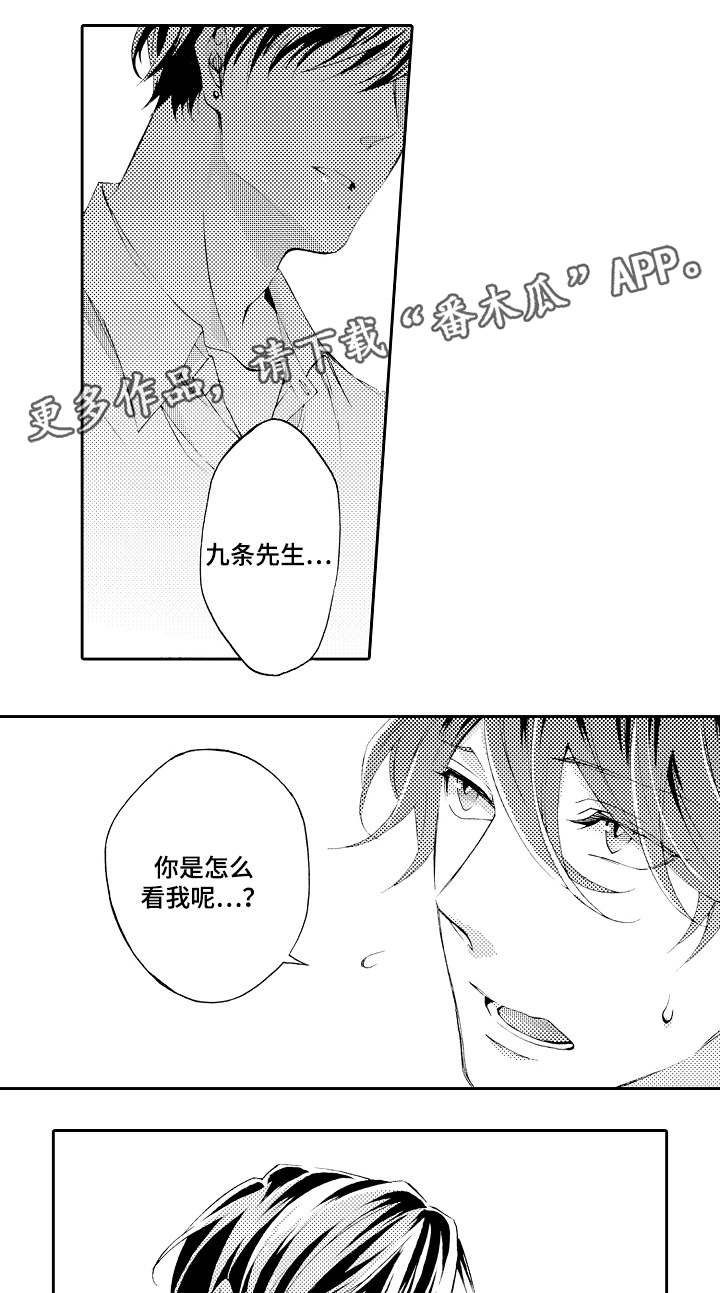 第38章：仅此而已
