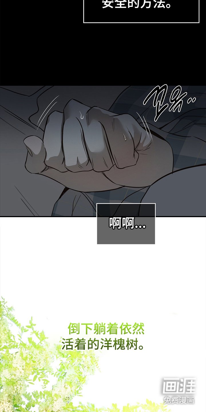 第12章：谎言
