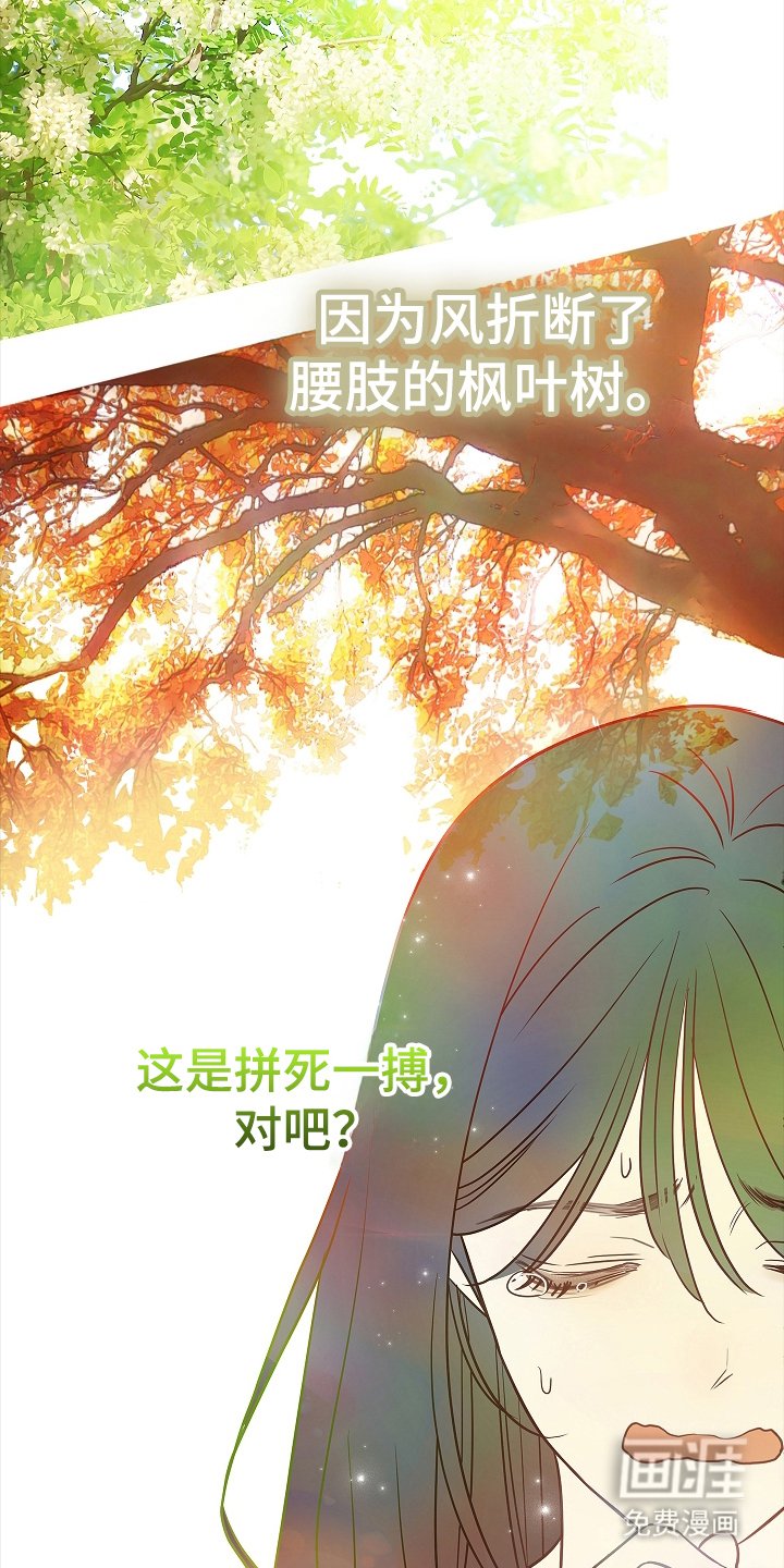第12章：谎言