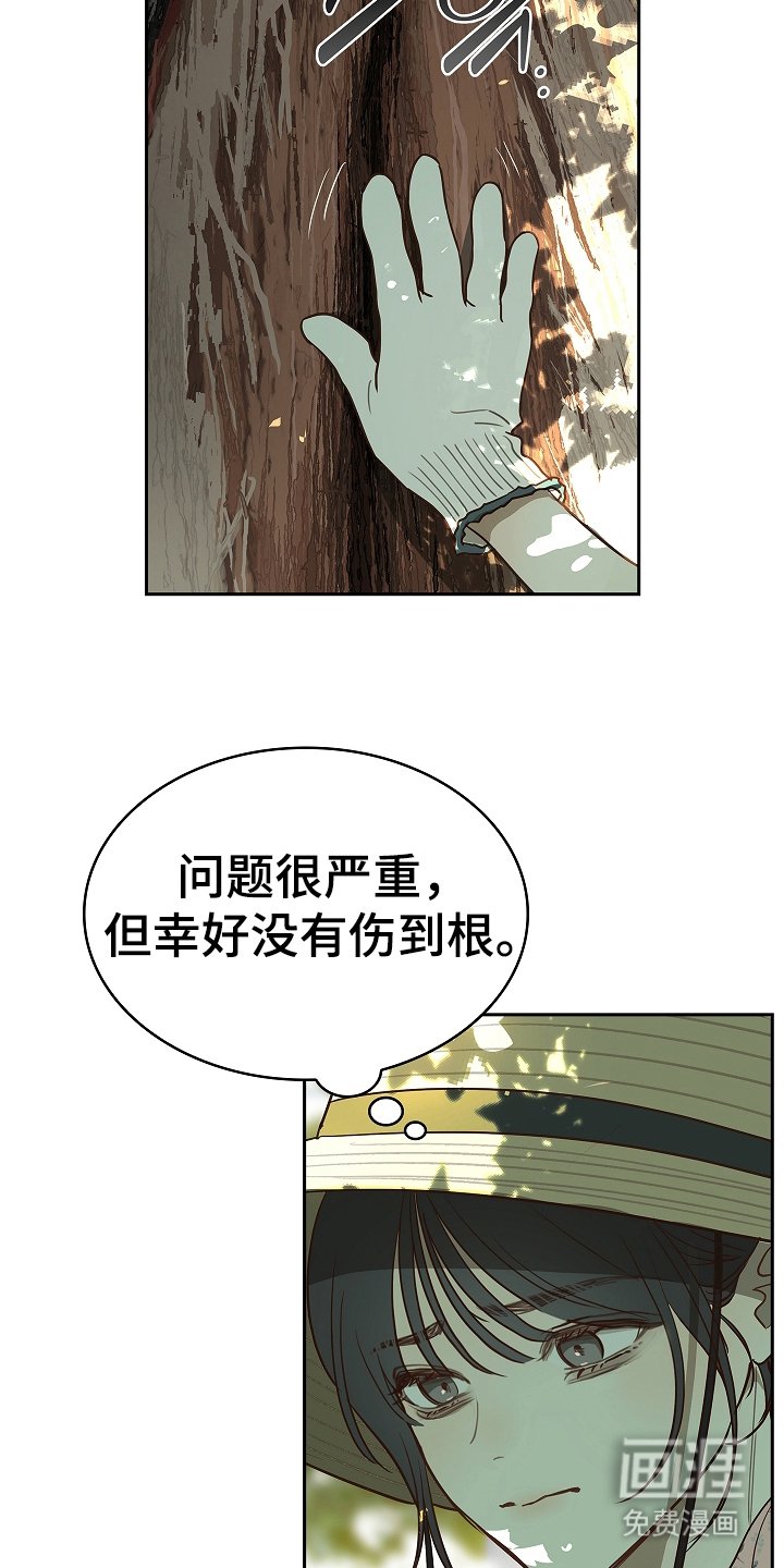 第14章：致命的种子