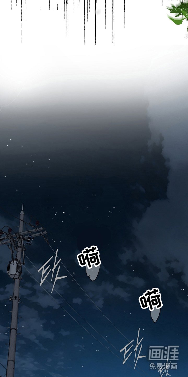 第16章：操心的家伙