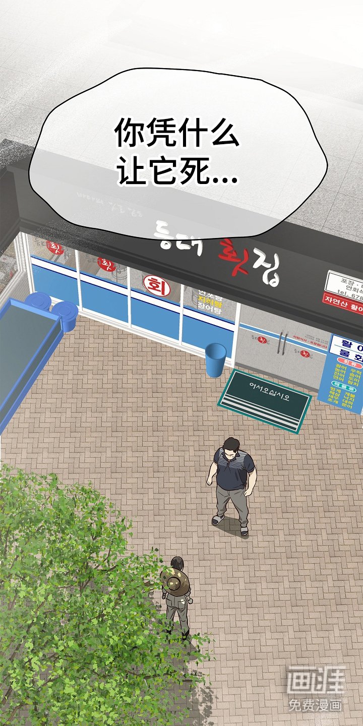第31章：凭什么