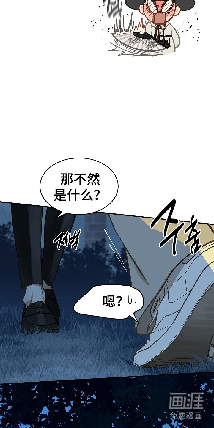 第44章：突然变聪明