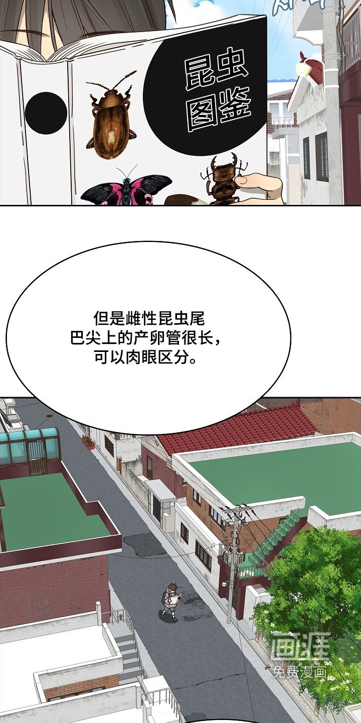 第49章：冷静