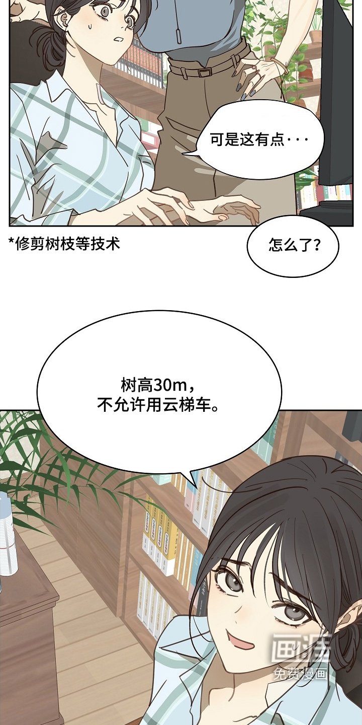 第49章：冷静