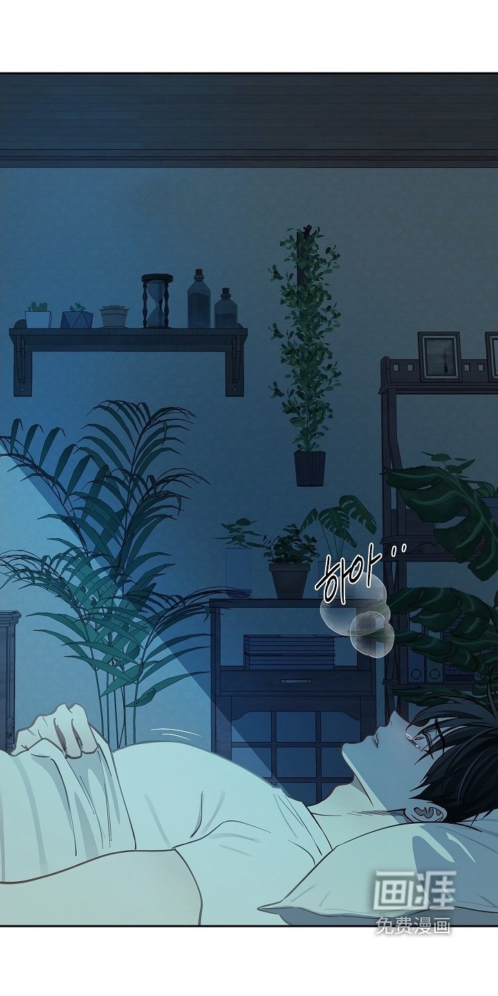 第53章：苏醒