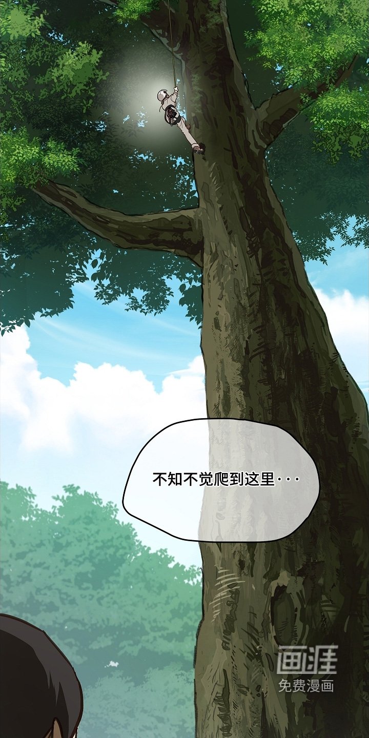 第66章：掉下去