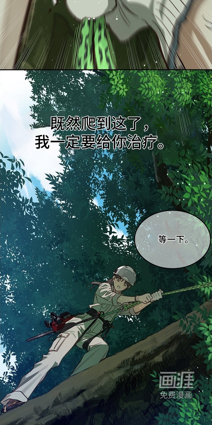 第66章：掉下去