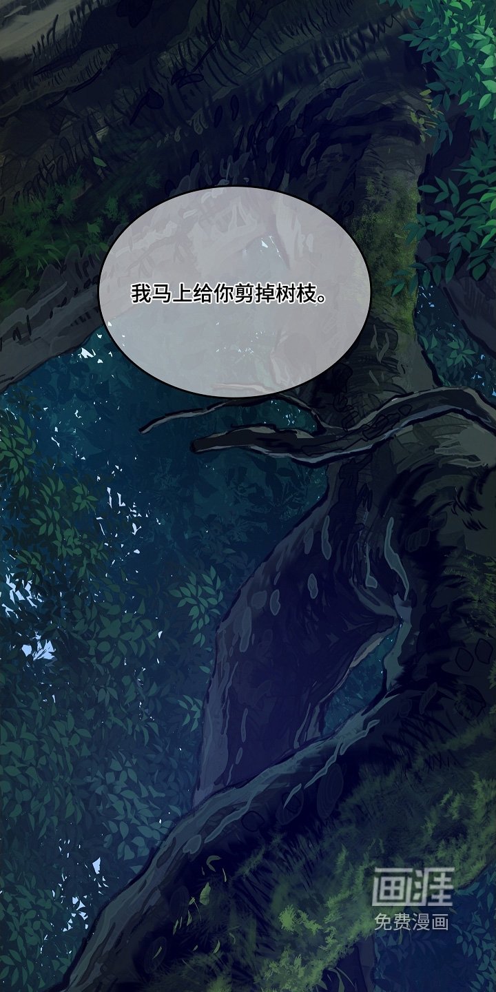 第66章：掉下去