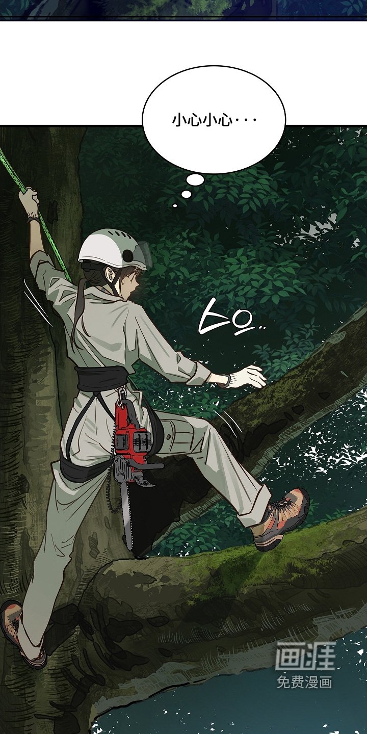 第66章：掉下去