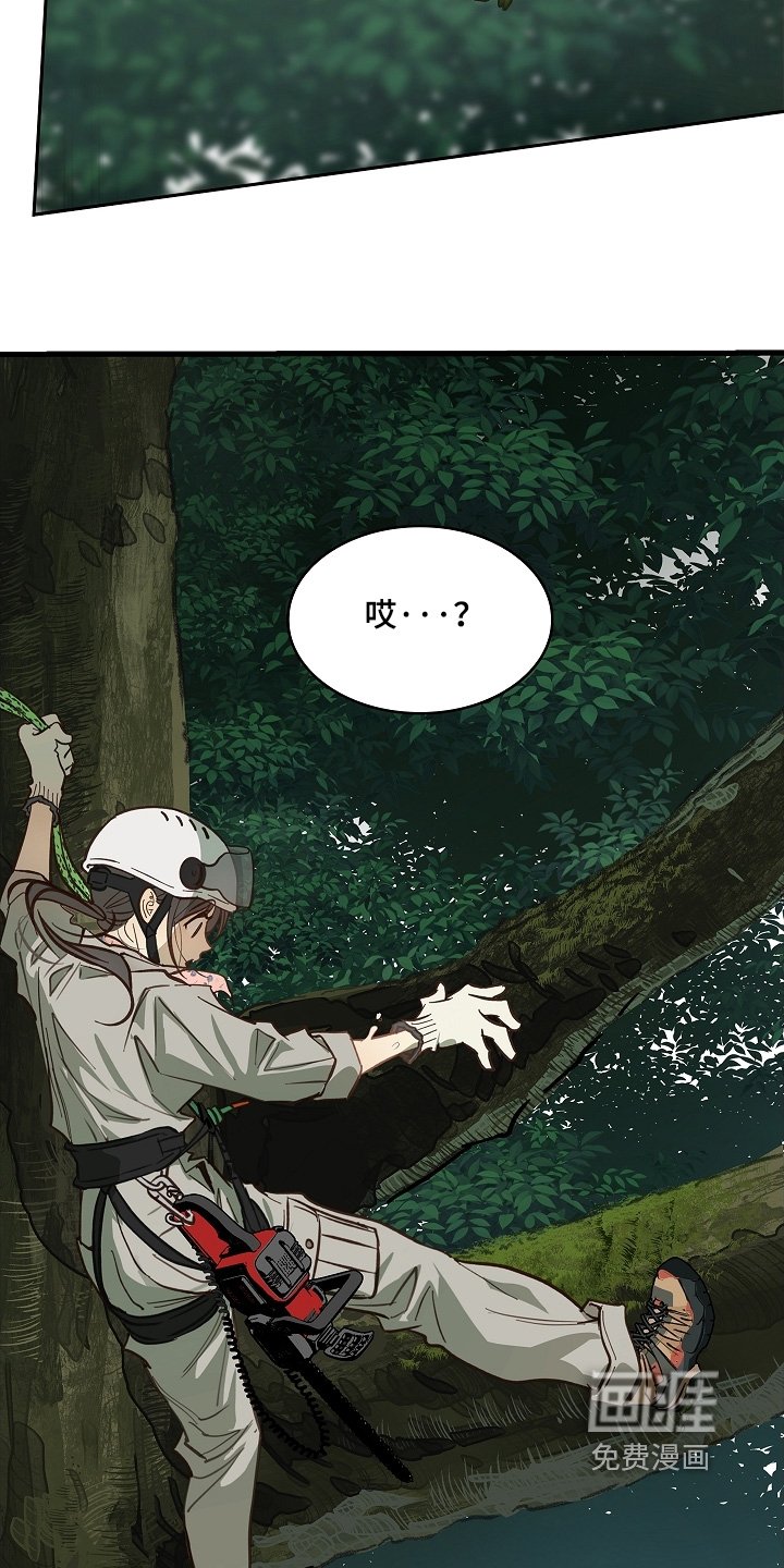 第66章：掉下去