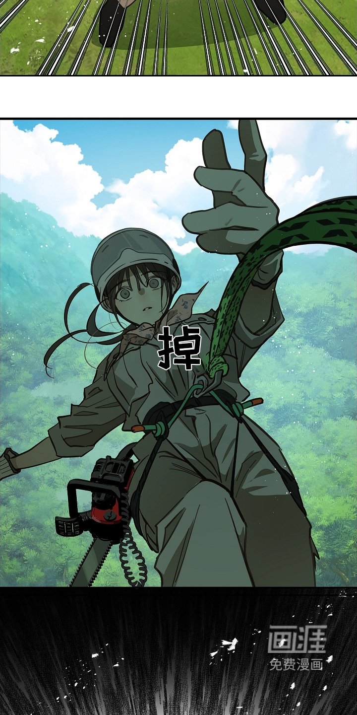 第66章：掉下去