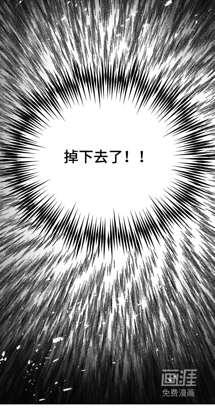第66章：掉下去