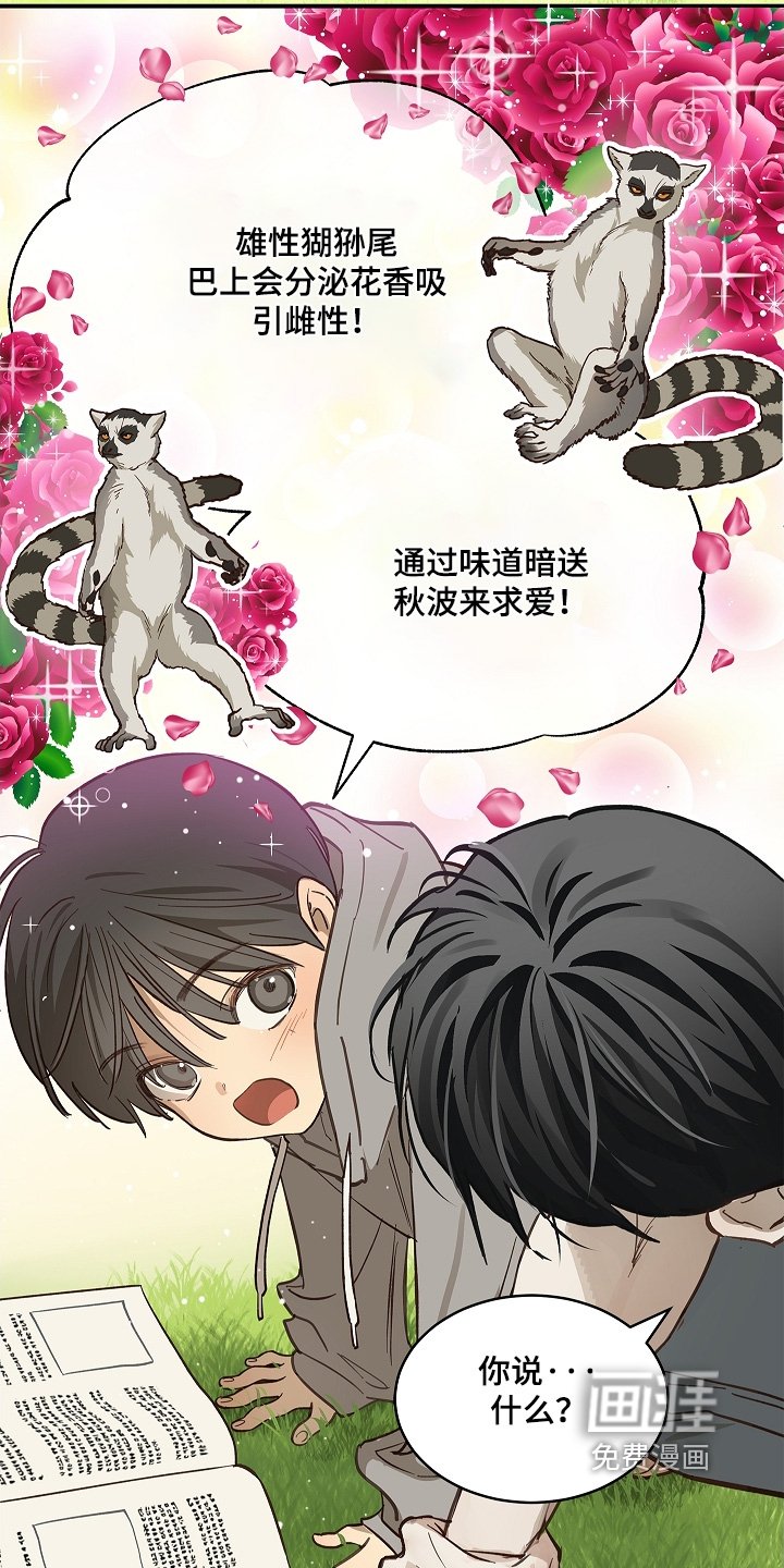 第74章：什么意思