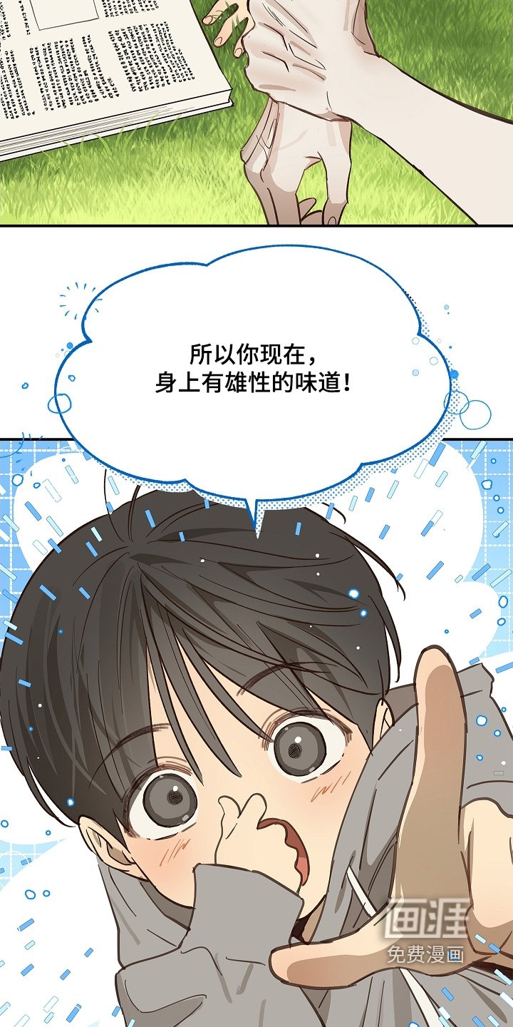 第74章：什么意思