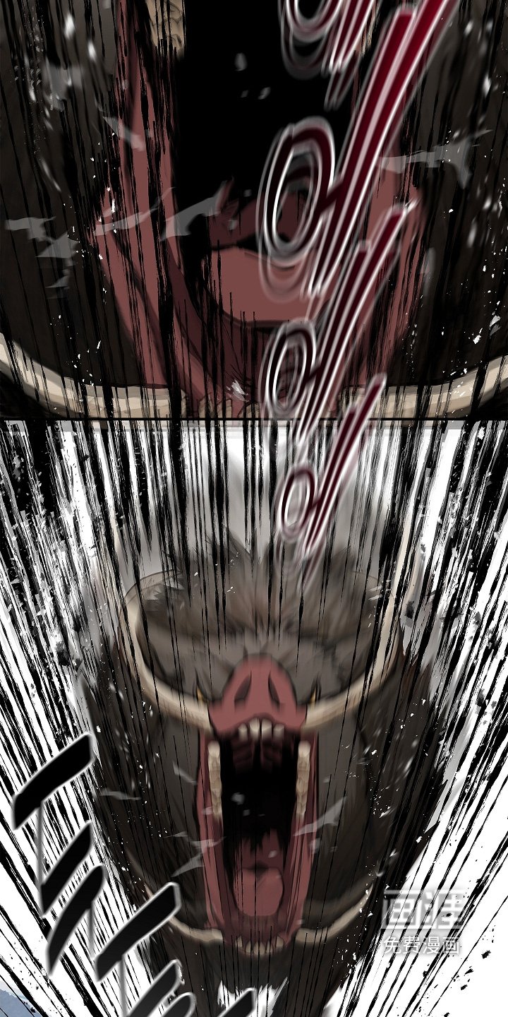 第78章：野猪