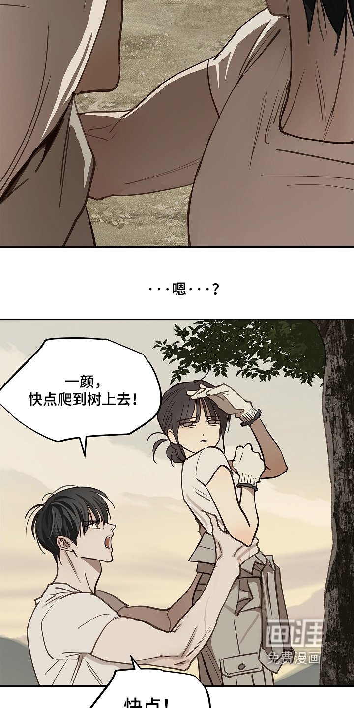 第78章：野猪