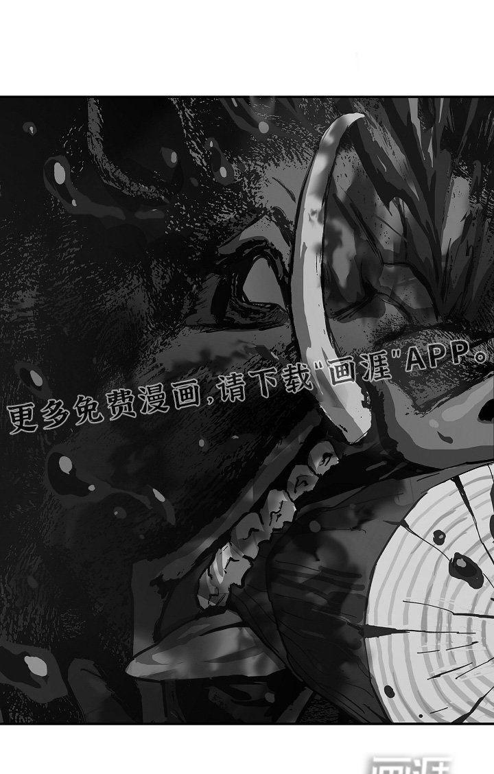 第80章：怀疑的眼神