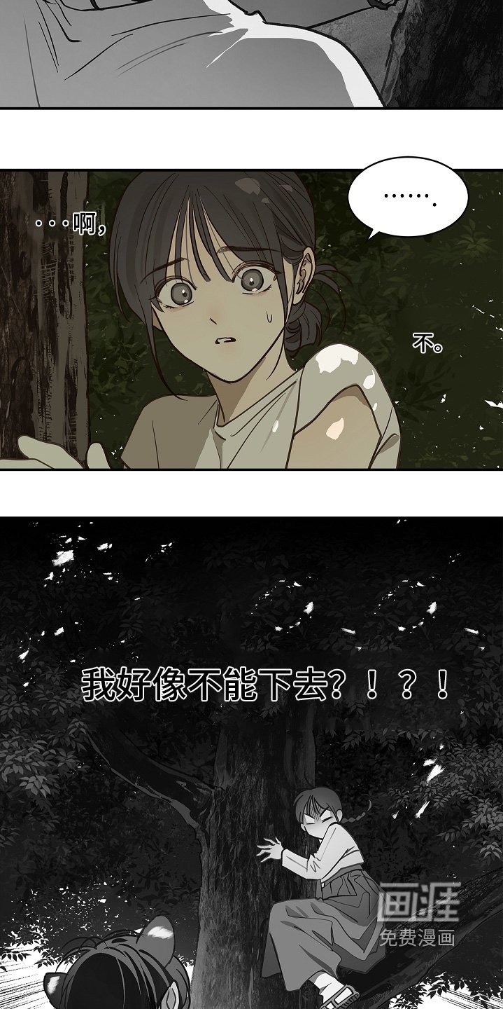 第80章：怀疑的眼神