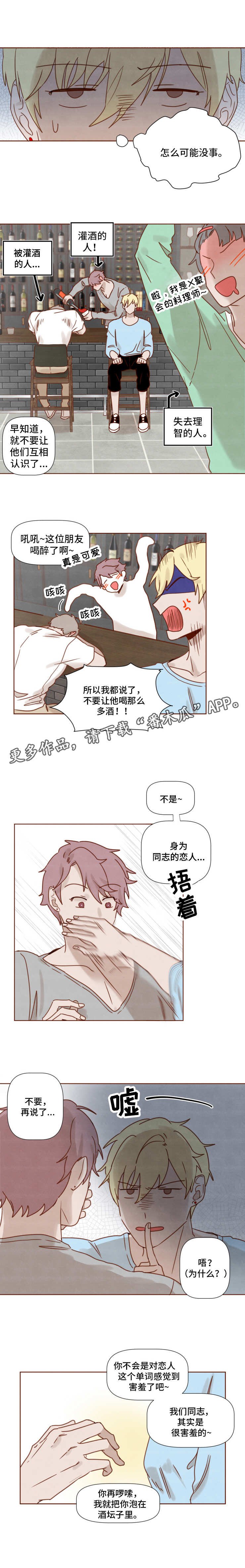 第20章：醉酒