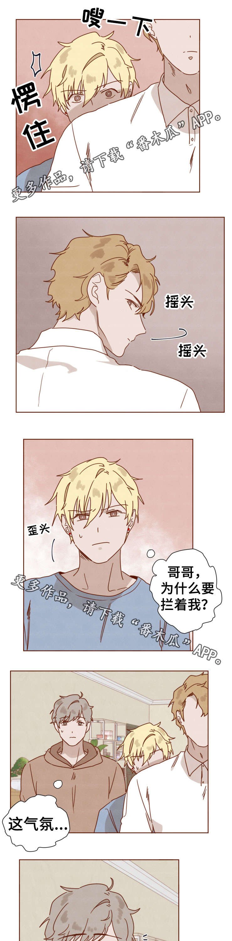 第31章：哥哥