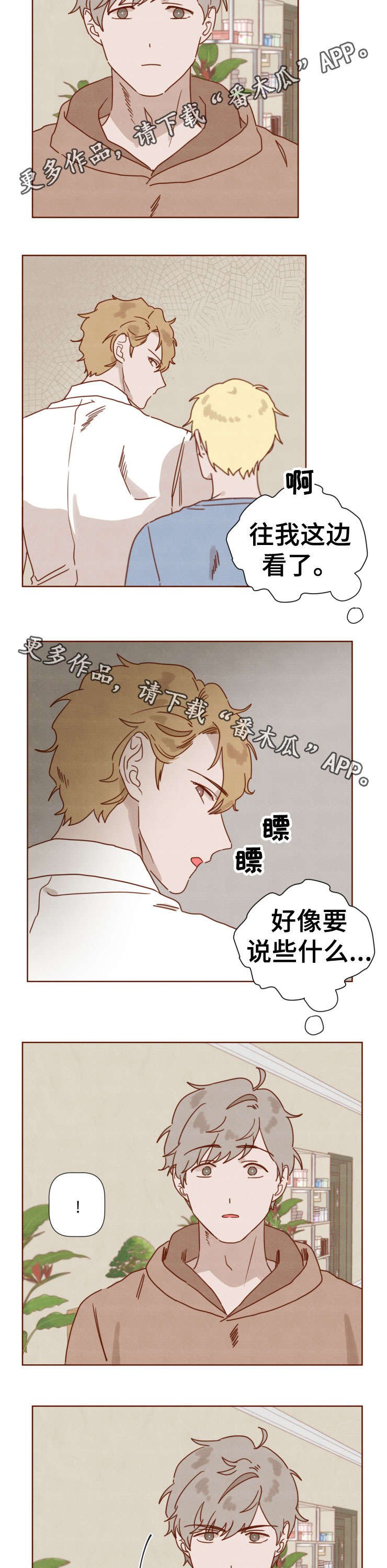 第31章：哥哥