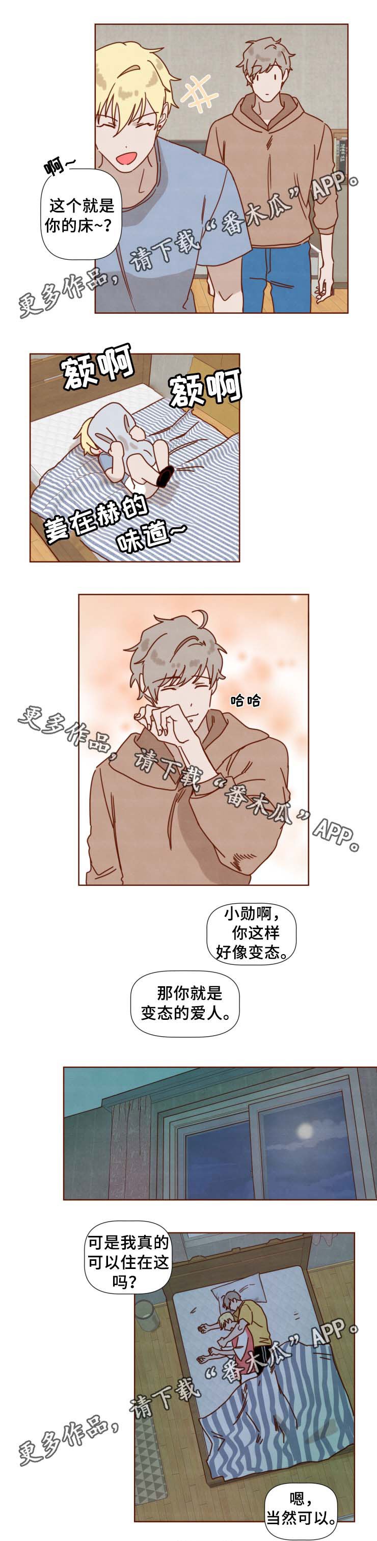第33章：别再说了