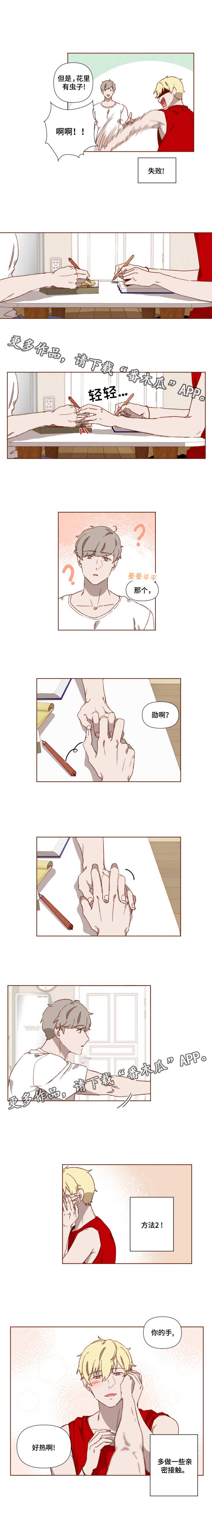 第6章：爱情法则