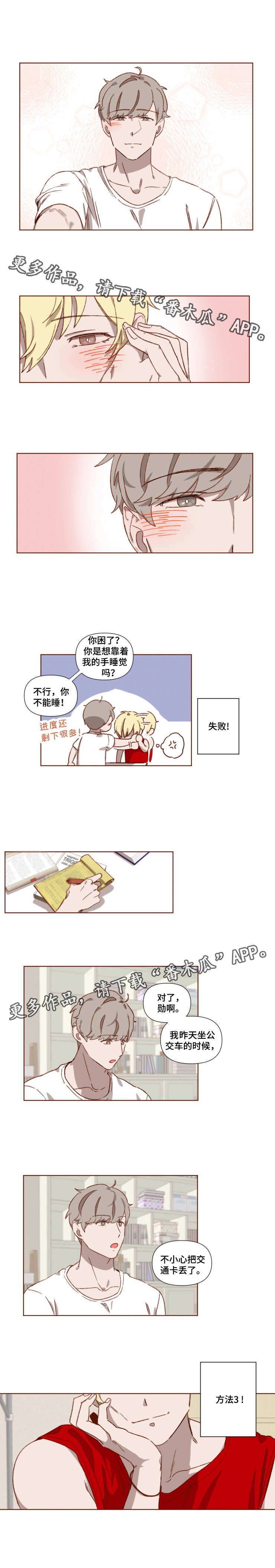 第6章：爱情法则
