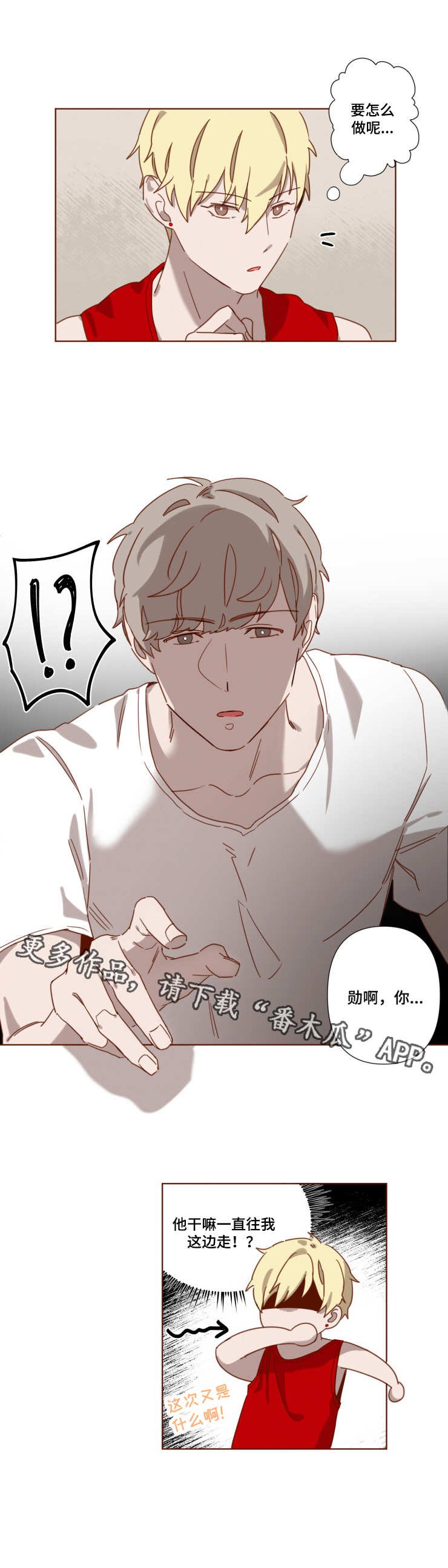 第6章：爱情法则