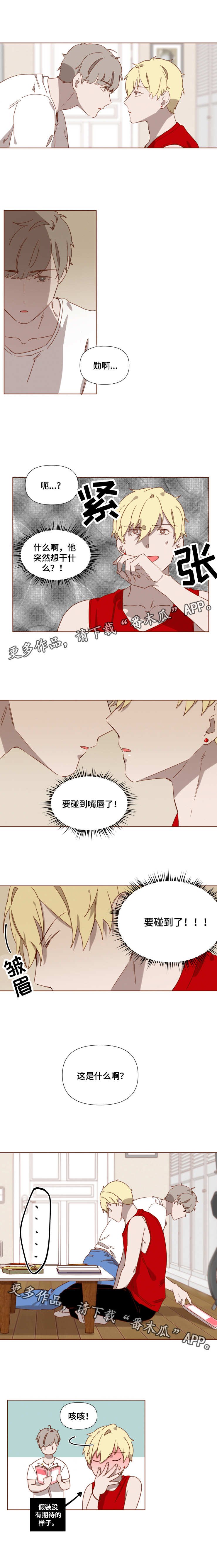 第7章：学习经验