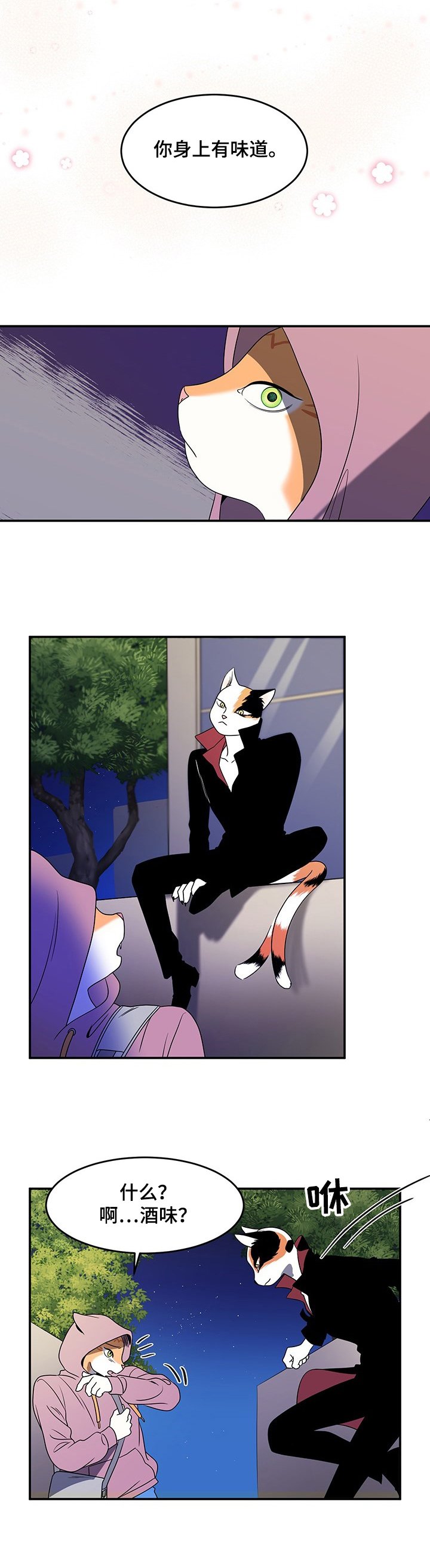 第1章：灵猫