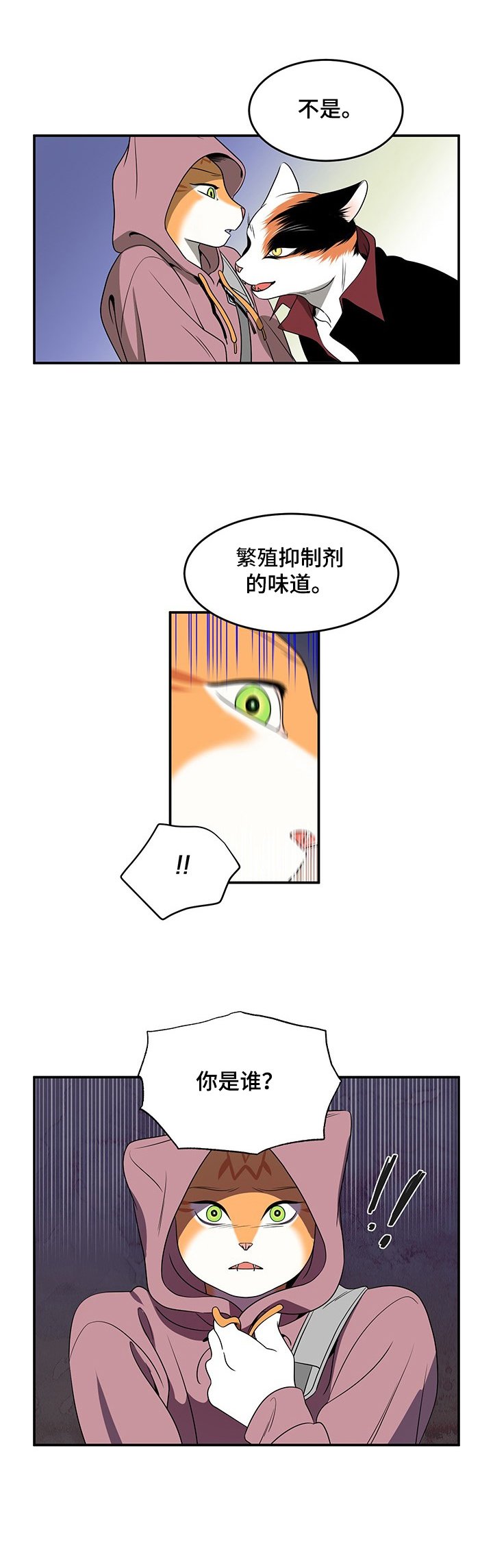 第1章：灵猫