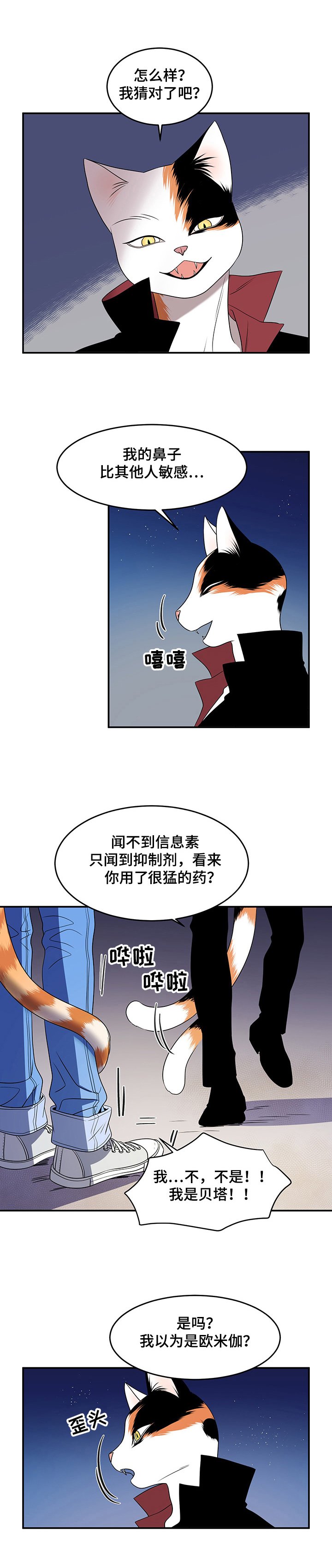 第1章：灵猫